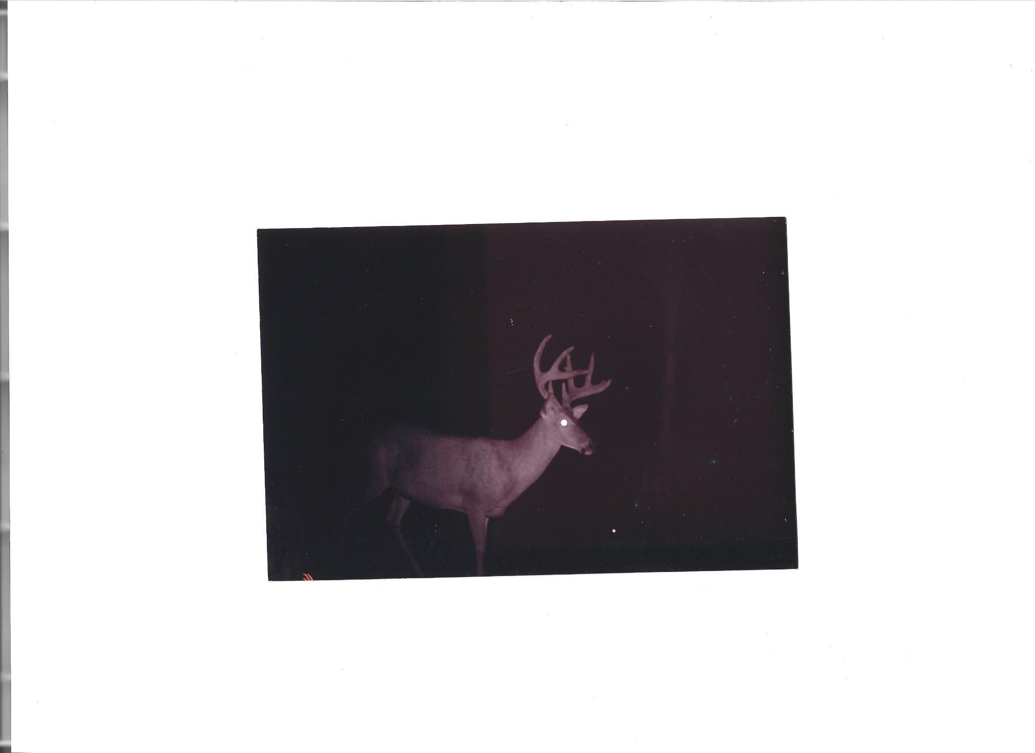 55 Short Creek Road Dellrose, TN 38453 - Photo 34 of 34 a black and white photo of a room