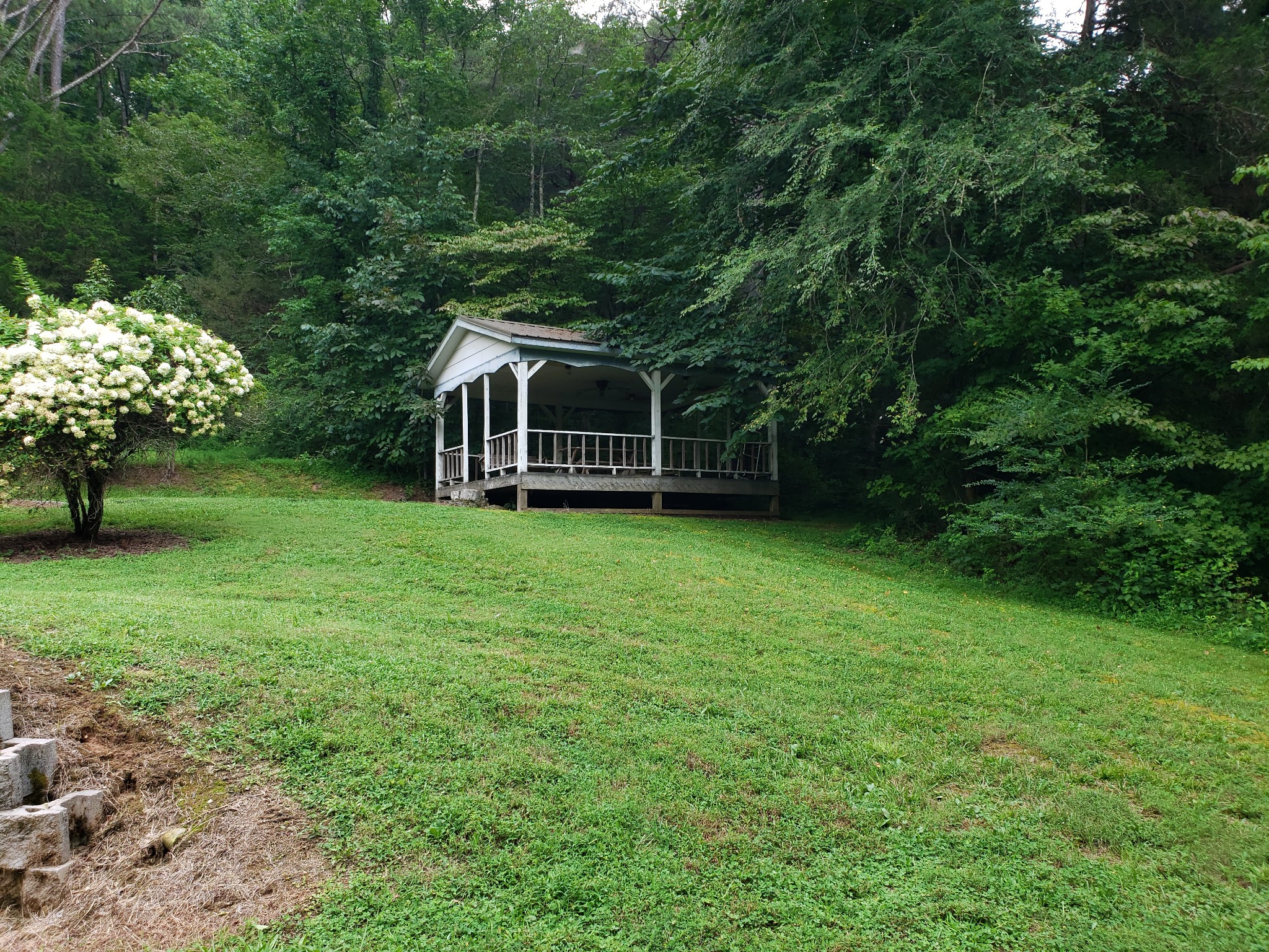55 Short Creek Road Dellrose, TN 38453 - Photo 5 of 34 a view of a house with a backyard