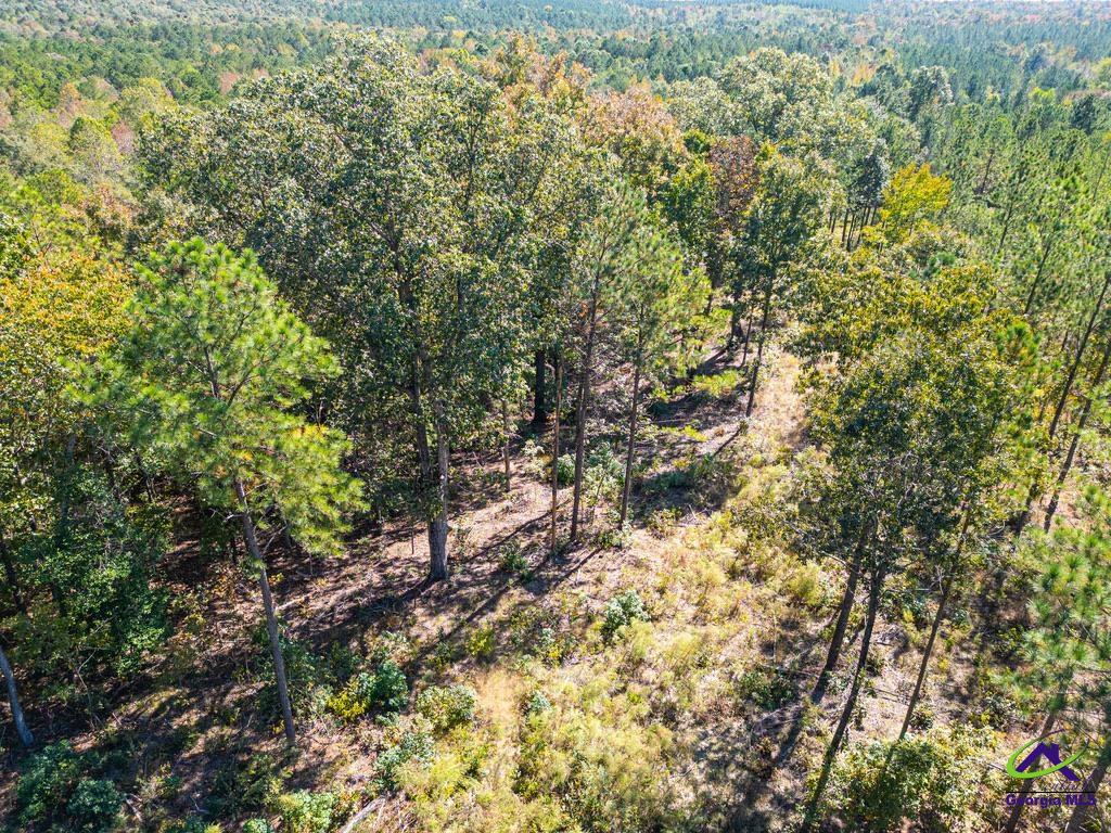 Ohp Dominy Road Toomsboro, GA 31090 - Photo 21 of 24