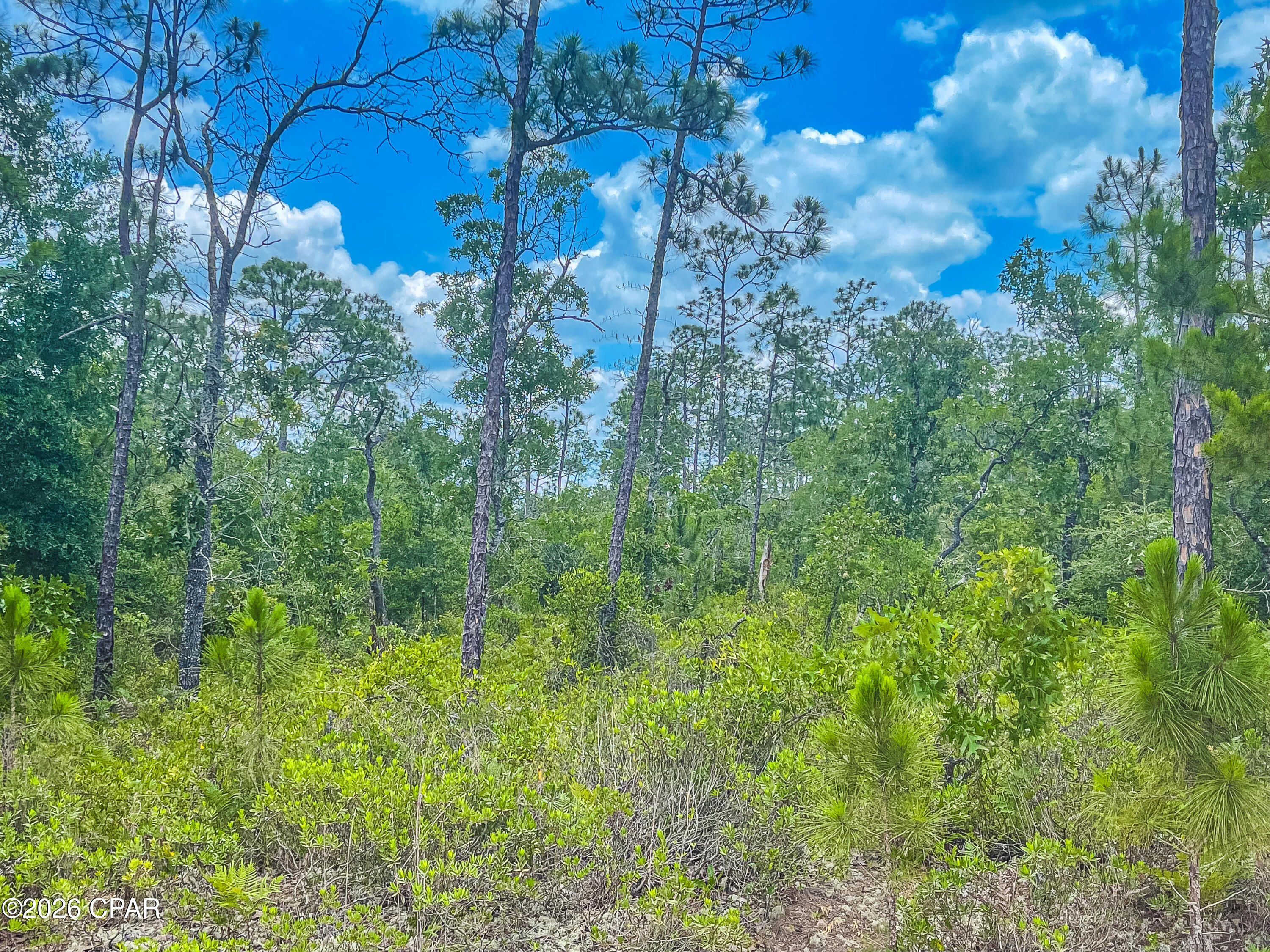 0 Cracked Egg Road Chipley, FL 32428 - Photo 8 of 12