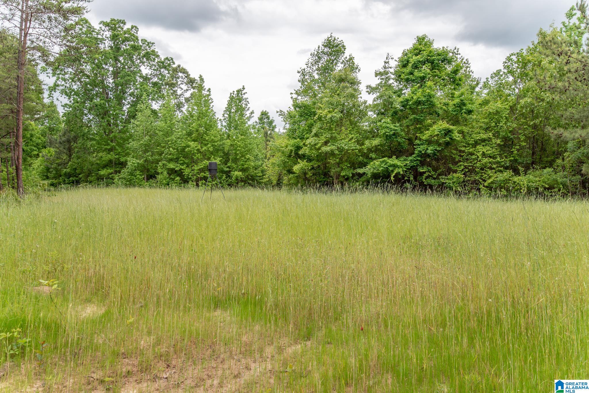 12680 Groundhog Road, Unit 1 Adger, AL 35006 - Photo 23 of 28