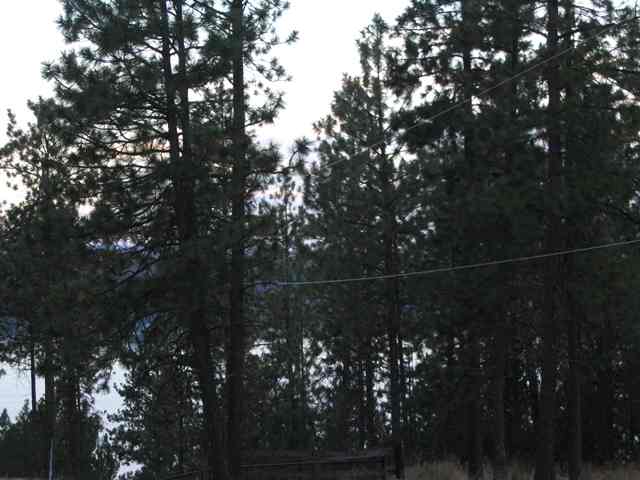 608 South Lakeside Road Liberty Lake, WA 99019 - Photo 8 of 9 Gallery Image 8