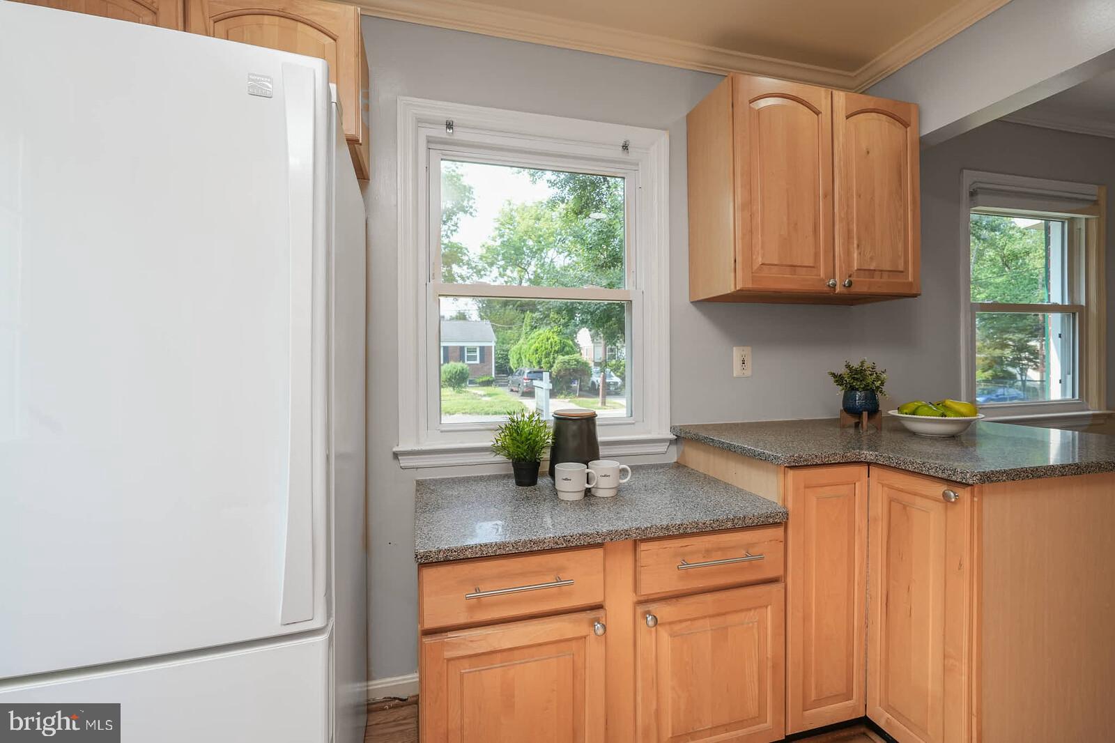 3909 Adams Drive Silver Spring, MD 20902 - Photo 10 of 49 Silestone countertops