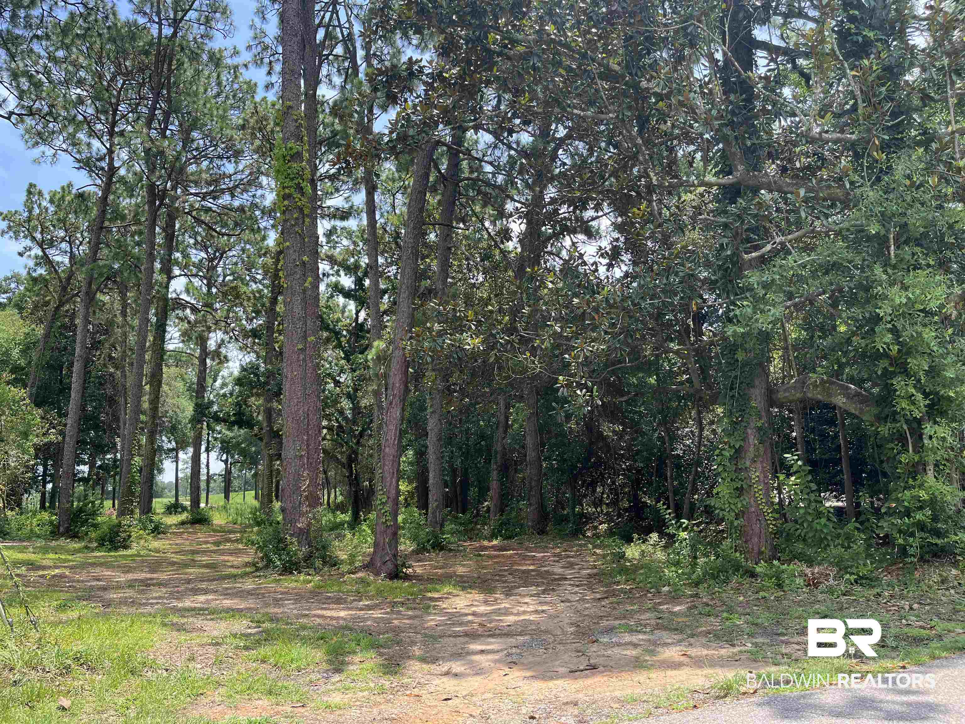0 Kingsway Mobile, AL 36608 - Photo 1 of 3