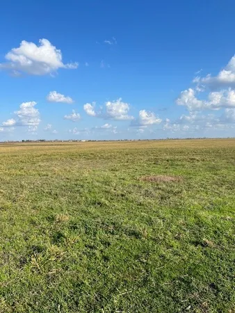 a view of an ocean from a yard