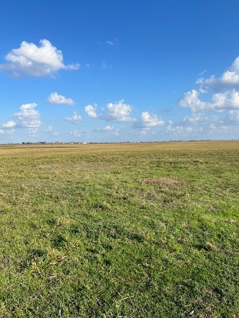 11401 FM 1994 Road Guy, TX 77444 - Photo 1 of 11 a view of an ocean from a yard