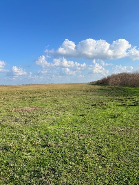 11401 FM 1994 Road Guy, TX 77444 - Photo 2 of 11 a view of an ocean