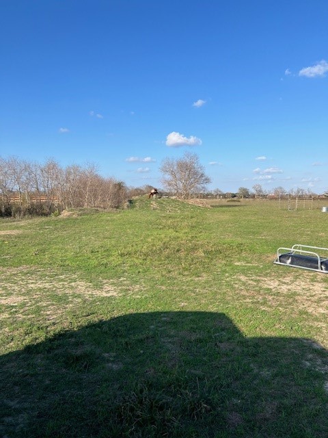 11401 FM 1994 Road Guy, TX 77444 - Photo 3 of 11 a view of a ocean with a beach