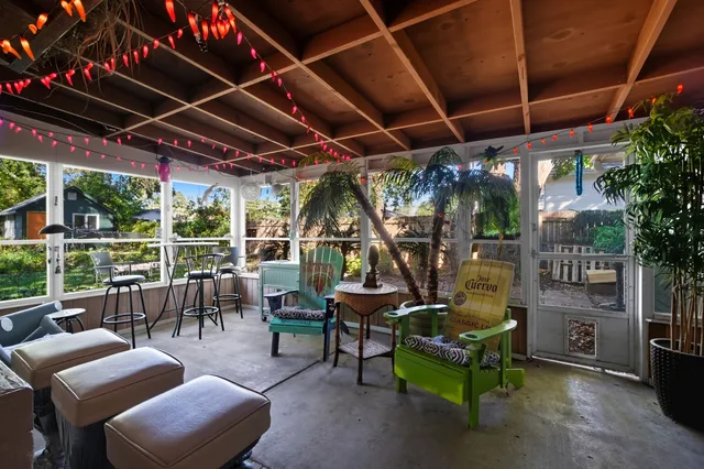 a view of a garden with plants and large trees