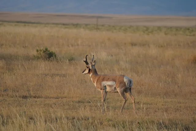 $4,571,000 | Harford Airfield Road, Casper, WY 82601