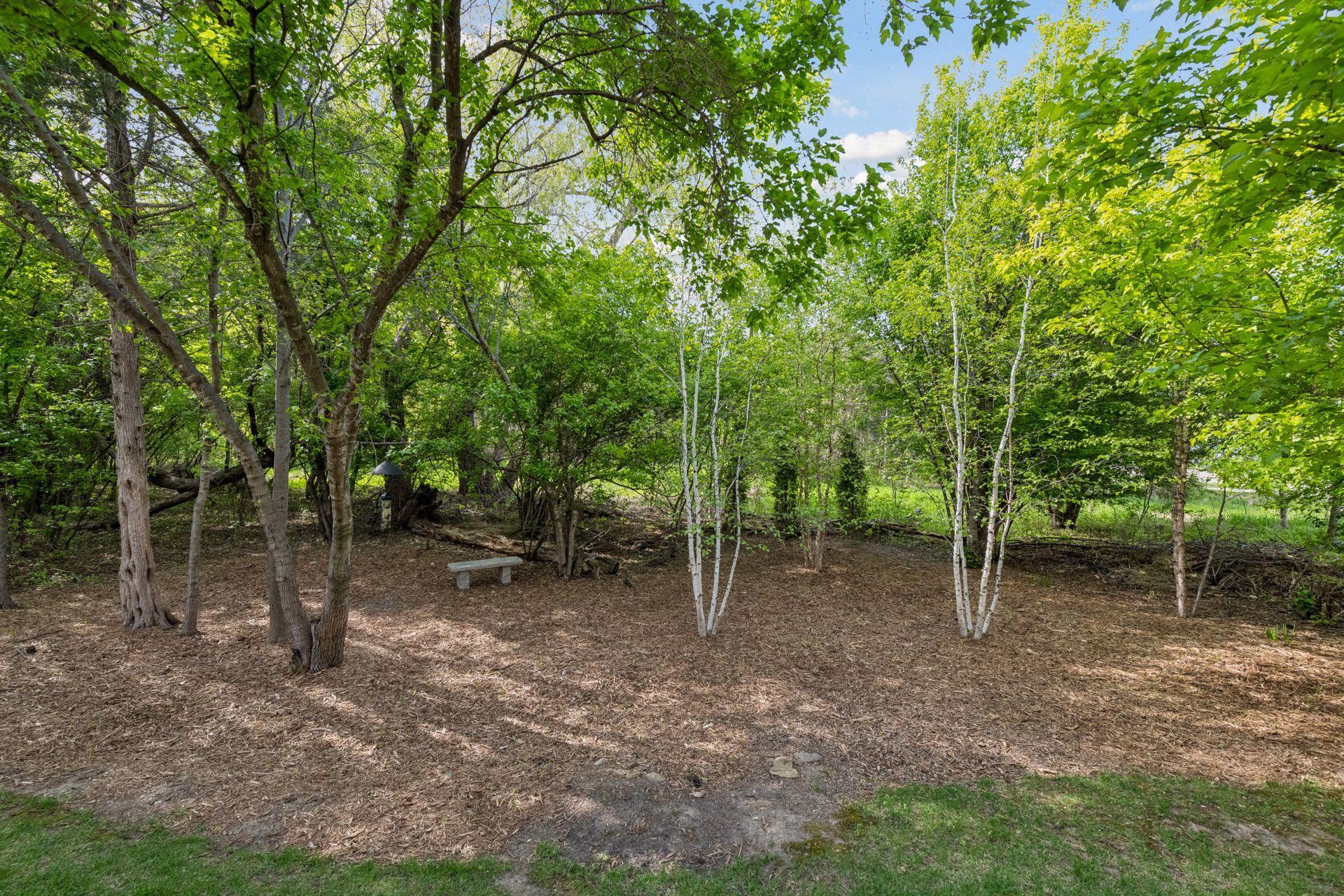 9264 Hawkcrest Circle Chanhassen, MN 55317 - Photo 5 of 45
