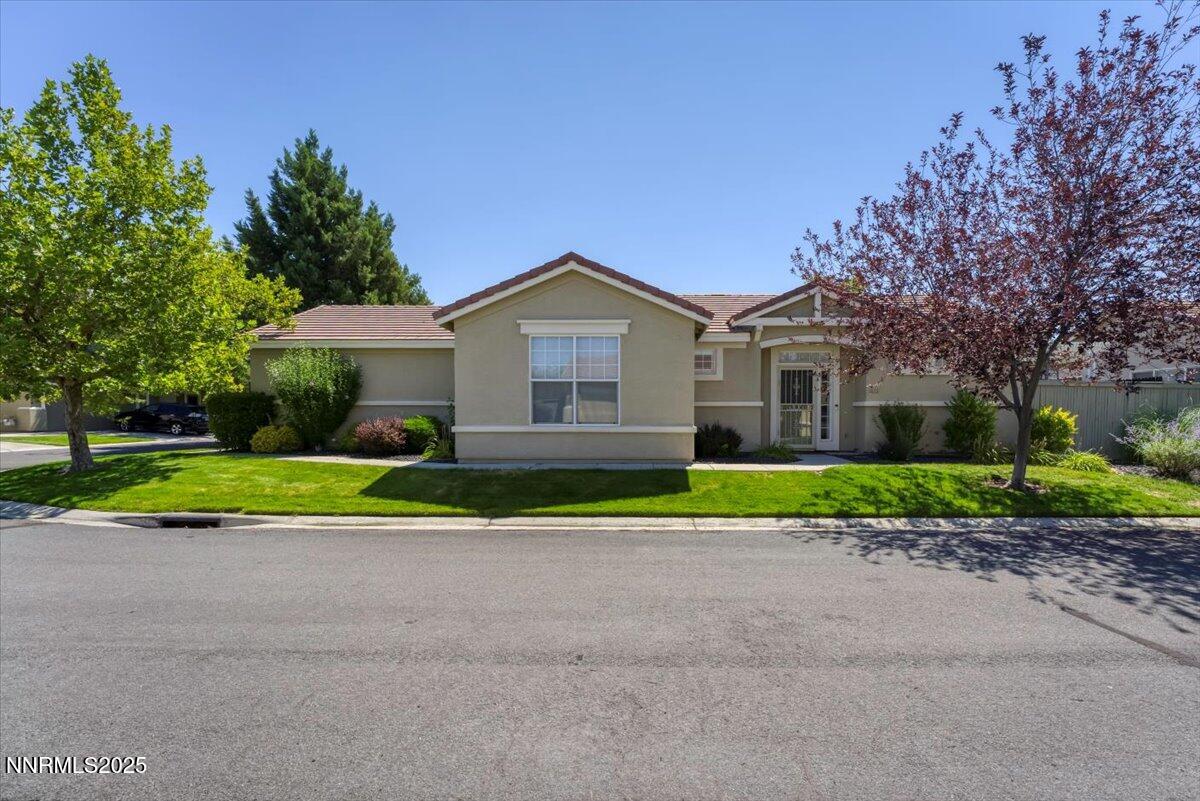 1612 Mountain Lane Reno, NV 89521 - Photo 5 of 36 a view of yellow house with a big yard and large trees