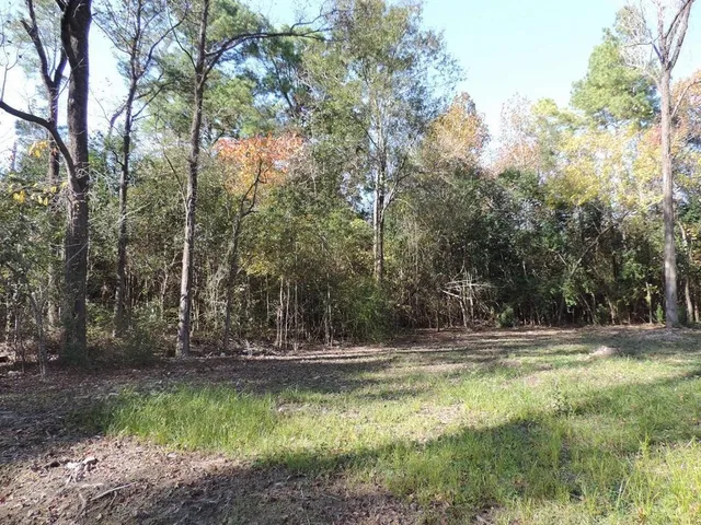 $100,000 | Tbd-33-46 Creekmont Drive, Houston, TX 77091