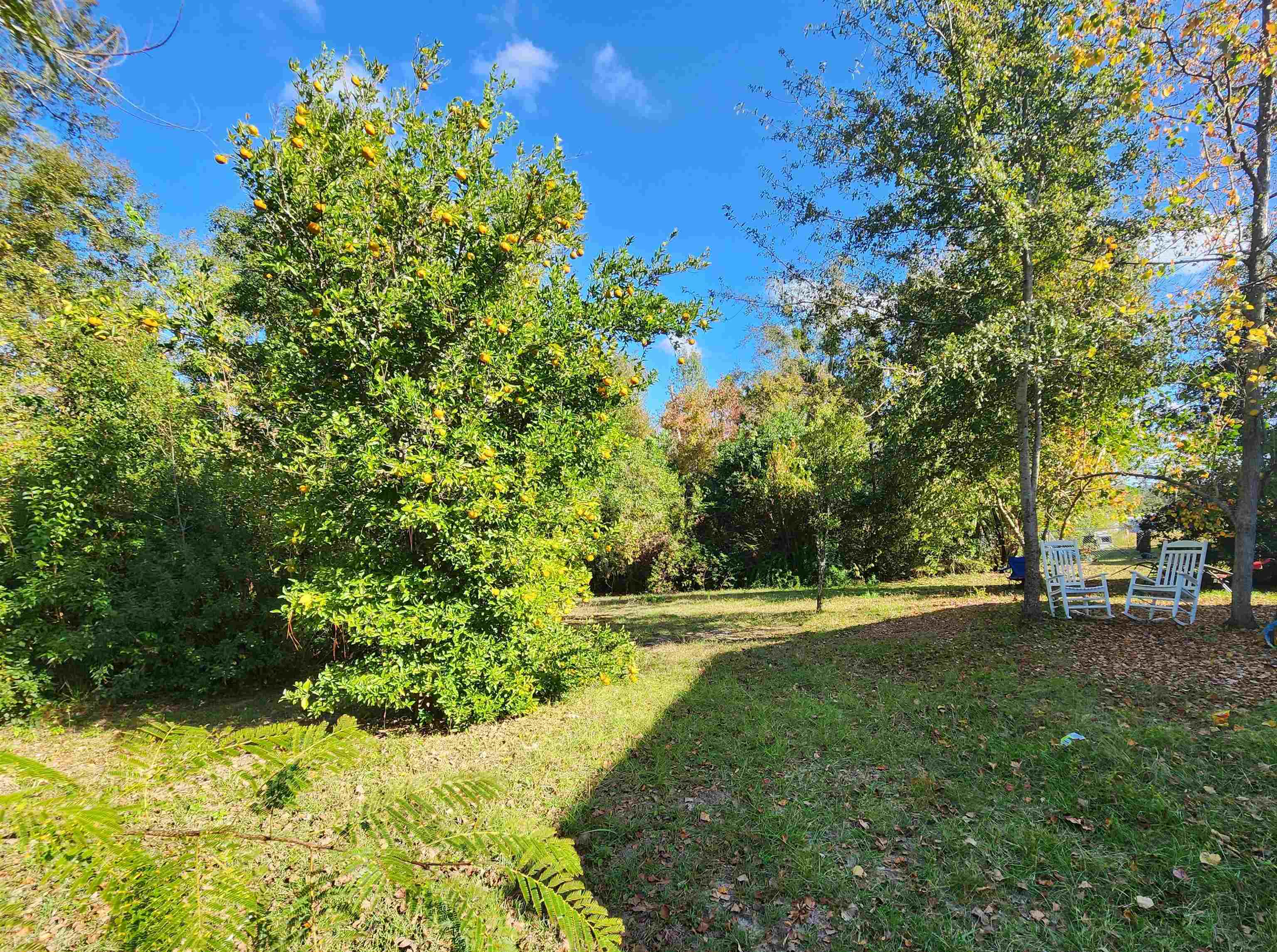 549 Satsuma Road Chattahoochee, FL 32324 - Photo 9 of 19 Gallery Image 9
