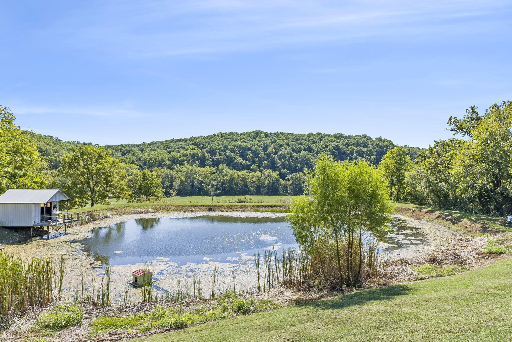 735 Co Road Sparta, MO 65753 - Photo 26 of 73 Pond View
