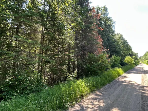 $125,000 | 7 Town Road 7, Northome, MN 56661