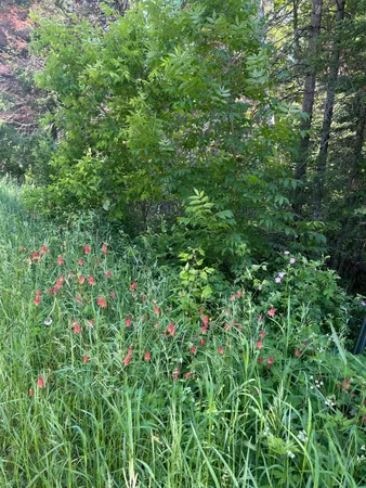 $125,000 | 7 Town Road 7, Northome, MN 56661