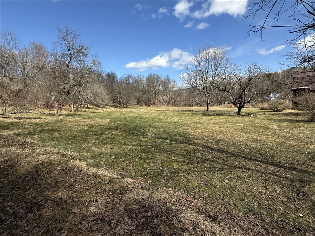 387 Hamilton Valley Road Barton, NY 14859 - Photo 43 of 48