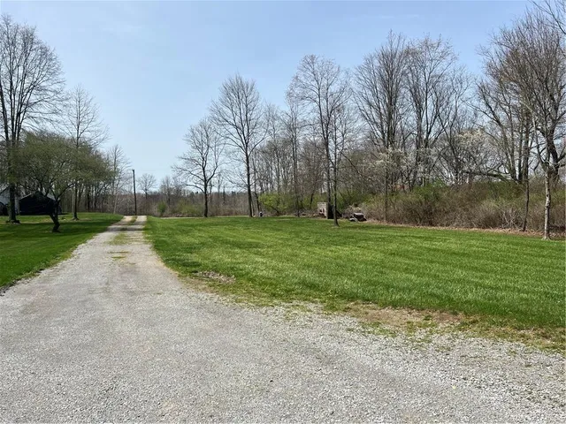 a view of a park with large trees