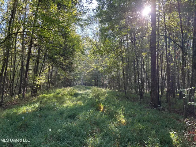 $1,500,315 | 0 Ms-9, Mathiston, MS 39752