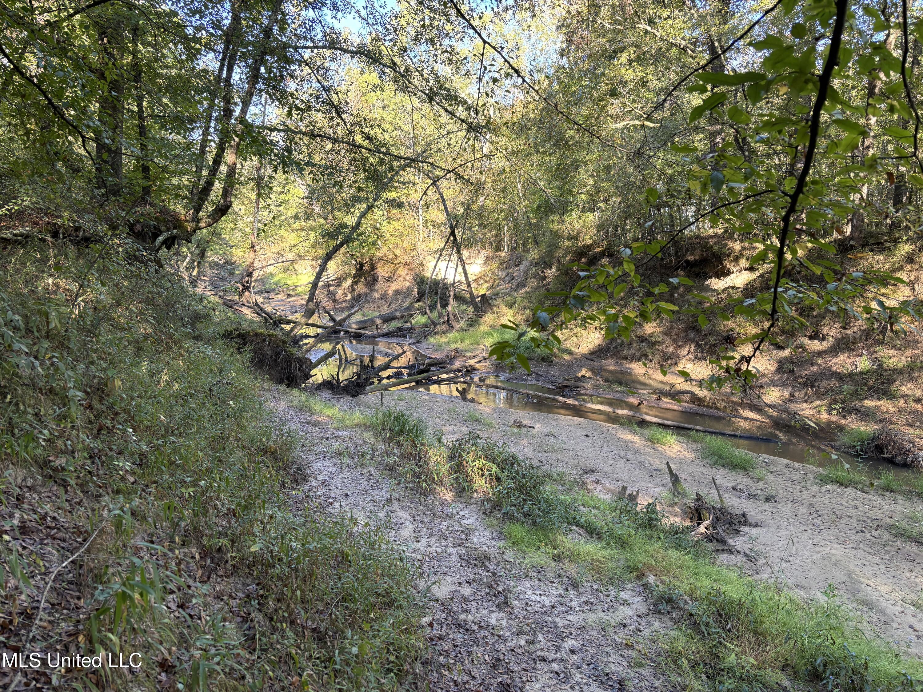 0 Ms-9 Mathiston, MS 39752 - Photo 11 of 19 IMG_9957