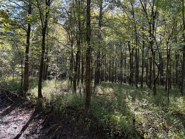 $1,500,315 | 0 Ms-9, Mathiston, MS 39752