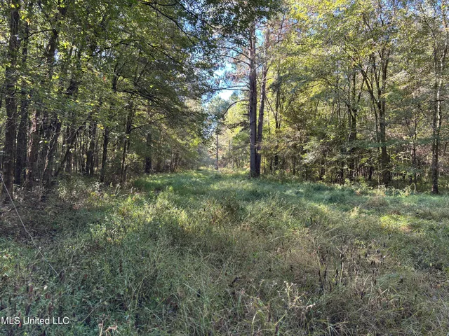 $1,500,315 | 0 Ms-9, Mathiston, MS 39752