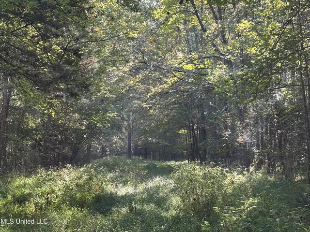 $1,500,315 | 0 Ms-9, Mathiston, MS 39752