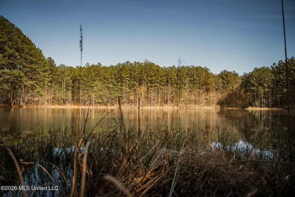$1,500,315 | 0 Ms-9, Mathiston, MS 39752