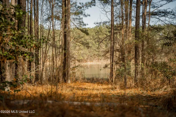 $1,500,315 | 0 Ms-9, Mathiston, MS 39752