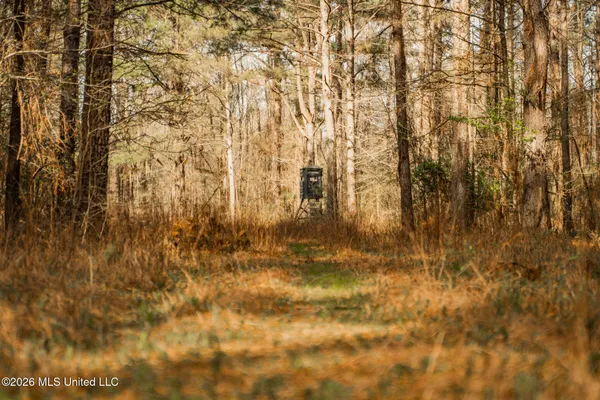 $1,500,315 | 0 Ms-9, Mathiston, MS 39752