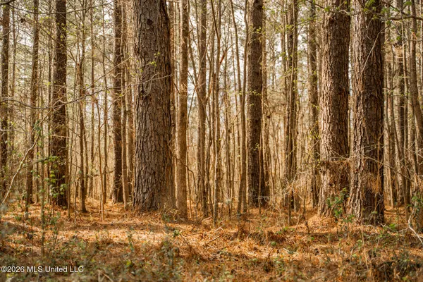 $1,500,315 | 0 Ms-9, Mathiston, MS 39752