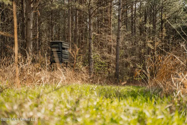 $1,500,315 | 0 Ms-9, Mathiston, MS 39752