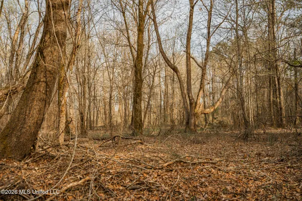$1,500,315 | 0 Ms-9, Mathiston, MS 39752