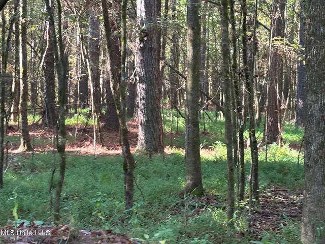 $1,500,315 | 0 Ms-9, Mathiston, MS 39752