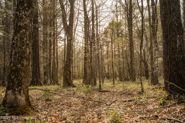 $1,500,315 | 0 Ms-9, Mathiston, MS 39752