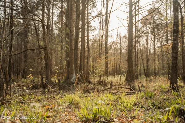 $1,500,315 | 0 Ms-9, Mathiston, MS 39752