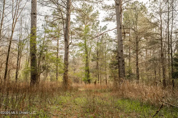 $1,500,315 | 0 Ms-9, Mathiston, MS 39752