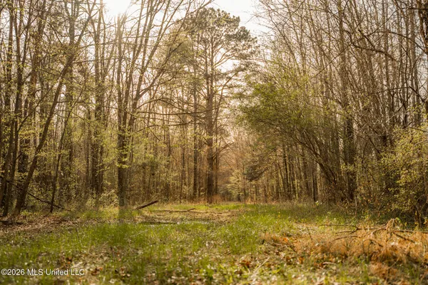 $1,500,315 | 0 Ms-9, Mathiston, MS 39752