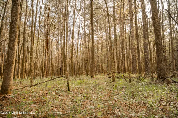 $1,500,315 | 0 Ms-9, Mathiston, MS 39752