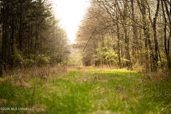 $1,500,315 | 0 Ms-9, Mathiston, MS 39752