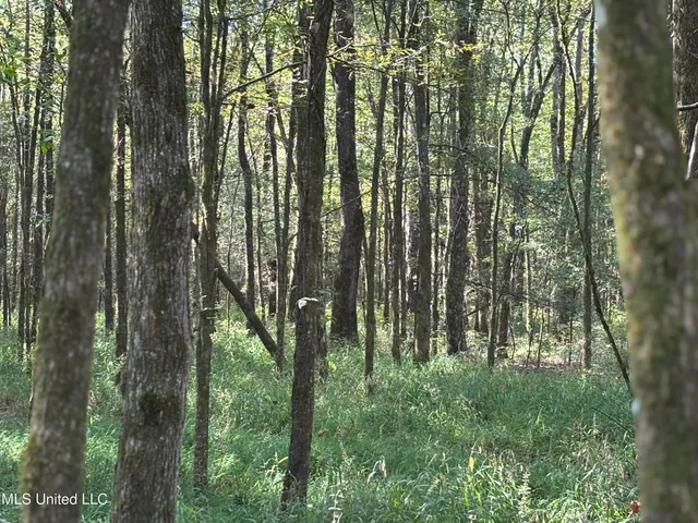 $1,500,315 | 0 Ms-9, Mathiston, MS 39752