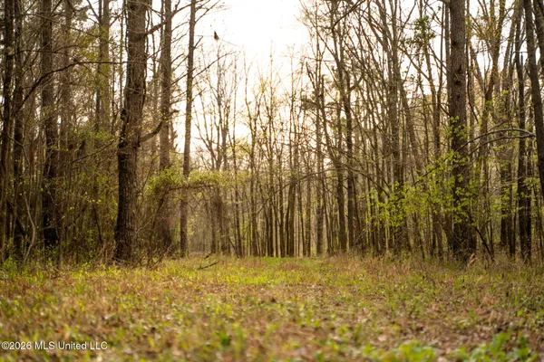 $1,500,315 | 0 Ms-9, Mathiston, MS 39752