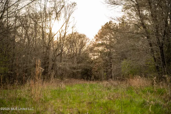 $1,500,315 | 0 Ms-9, Mathiston, MS 39752