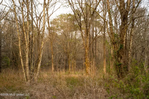 $1,500,315 | 0 Ms-9, Mathiston, MS 39752