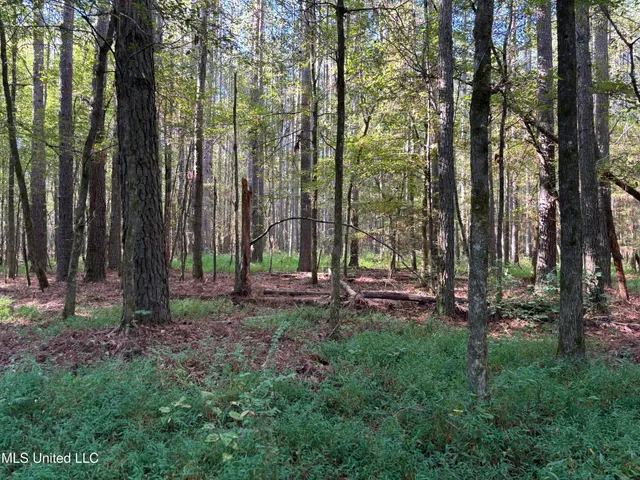 $1,500,315 | 0 Ms-9, Mathiston, MS 39752