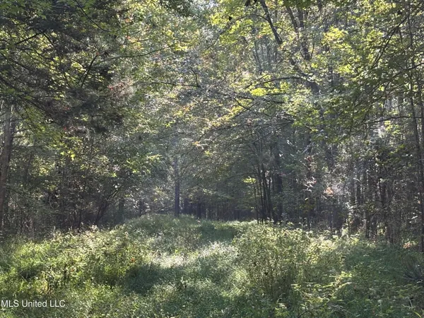 $1,500,315 | 0 Ms-9, Mathiston, MS 39752