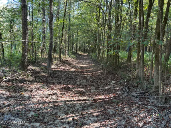 $1,500,315 | 0 Ms-9, Mathiston, MS 39752