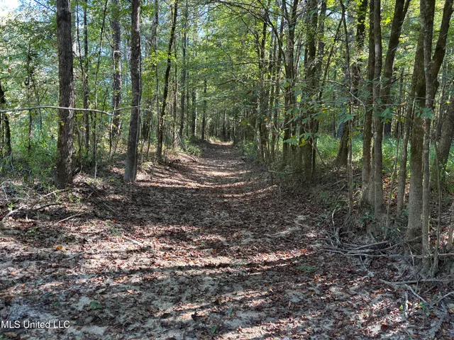 $1,500,315 | 0 Ms-9, Mathiston, MS 39752