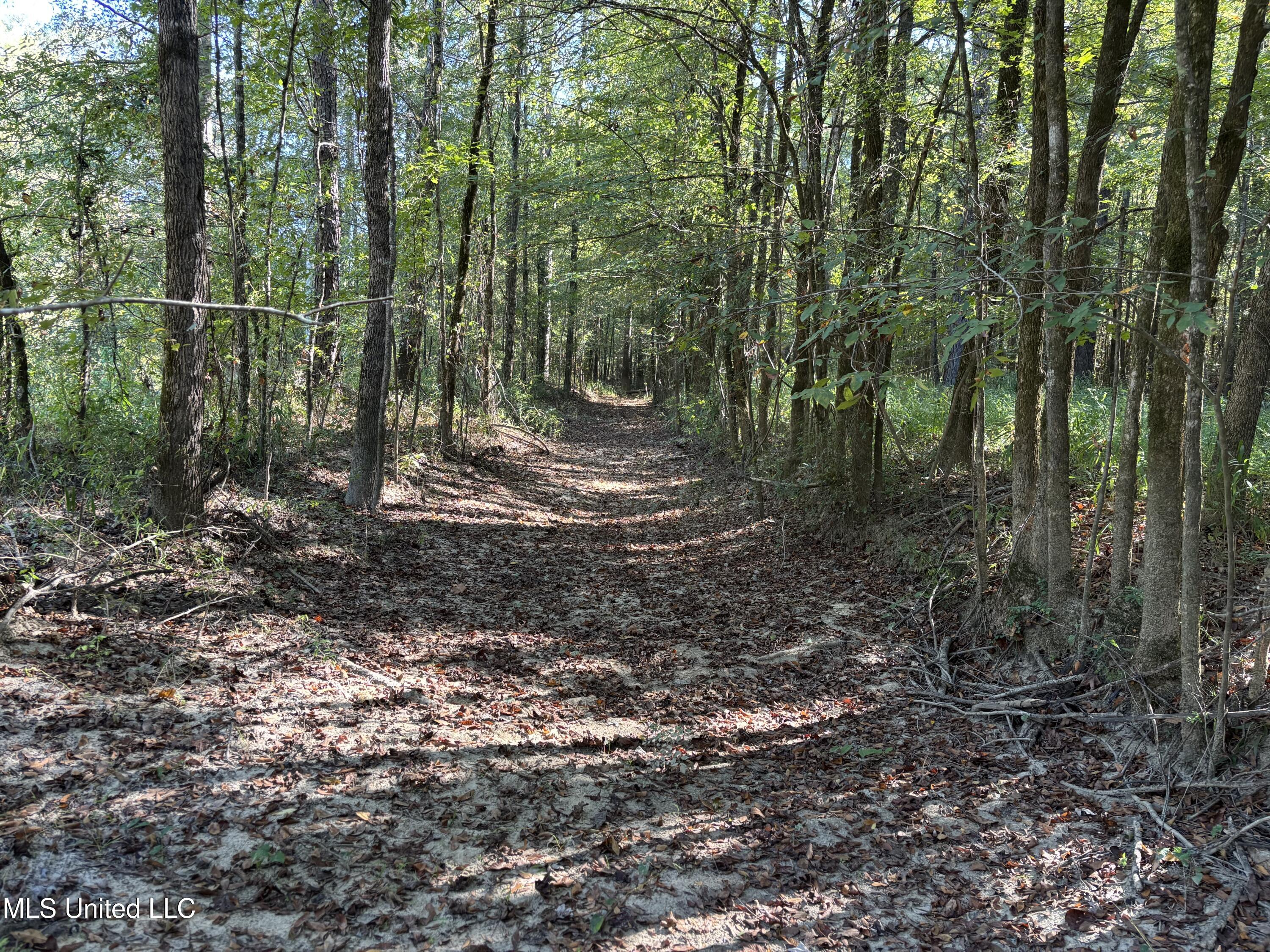 0 Ms-9 Mathiston, MS 39752 - Photo 7 of 19 IMG_9985